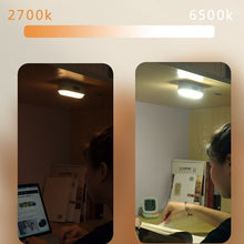 Load image into Gallery viewer, Motion Sensor Reading/Cabinet Lamp