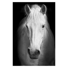 Load image into Gallery viewer, Canvas Painting Animal Wall Art