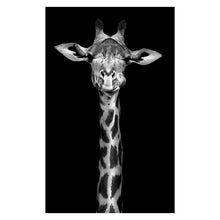 Load image into Gallery viewer, Canvas Painting Animal Wall Art

