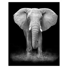 Load image into Gallery viewer, Canvas Painting Animal Wall Art
