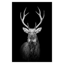 Load image into Gallery viewer, Canvas Painting Animal Wall Art
