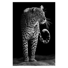 Load image into Gallery viewer, Canvas Painting Animal Wall Art

