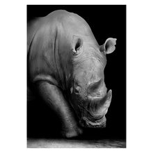 Load image into Gallery viewer, Canvas Painting Animal Wall Art
