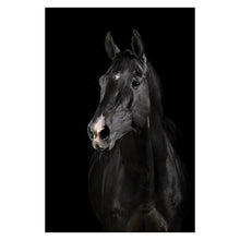 Load image into Gallery viewer, Canvas Painting Animal Wall Art
