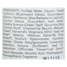 Загрузить изображение в средство просмотра галереи, Nourish Botanical Beauty - Toner Dewy - 1 Each - 5 Fz
