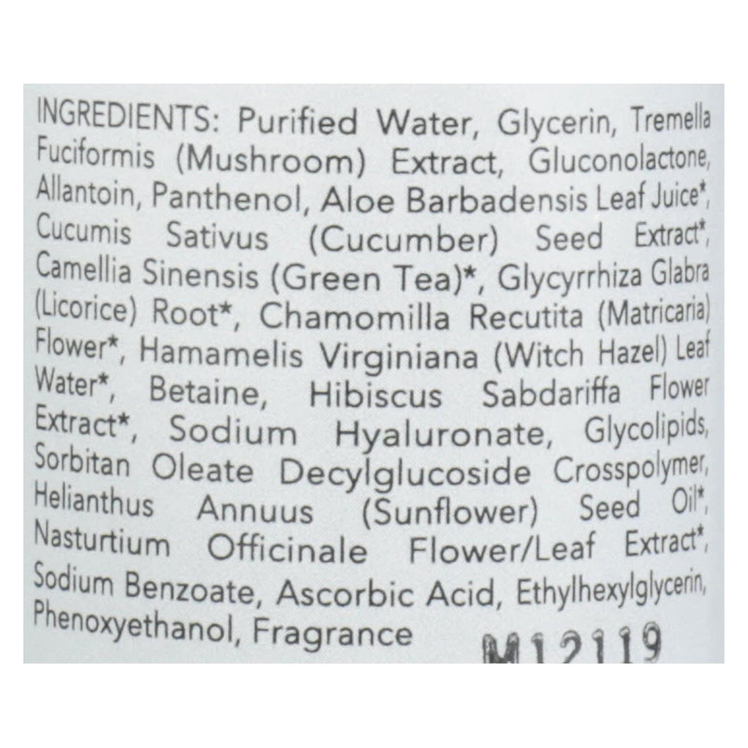 Nourish Botanical Beauty - Toner Dewy - 1 Each - 5 Fz